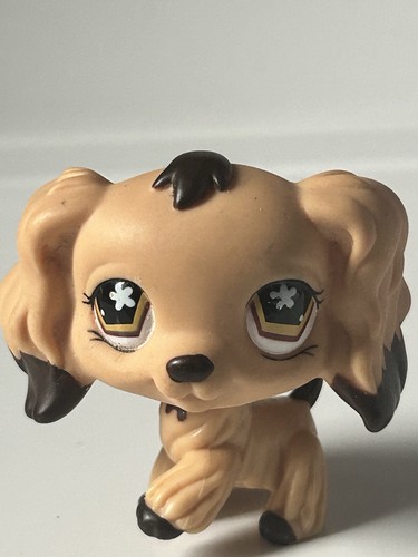 Authentic lps littlest petshop - authentic,