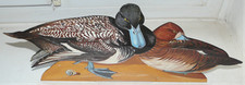 COUPLE DE CANARDS DECOR A