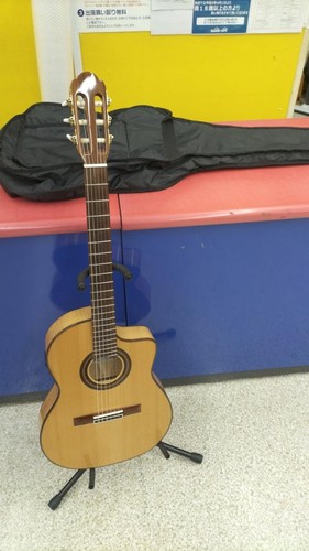 Guitare acoustique électrique