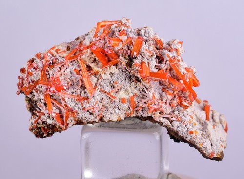 1cms gem red - 3.1cms,