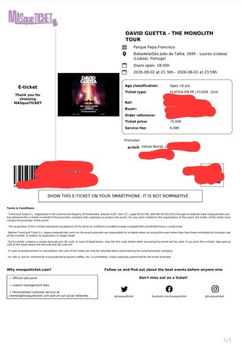 Billet ticket concert david - concert,