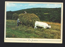 ATTELAGE BOVIN AGRICOLE / FENAISON animée