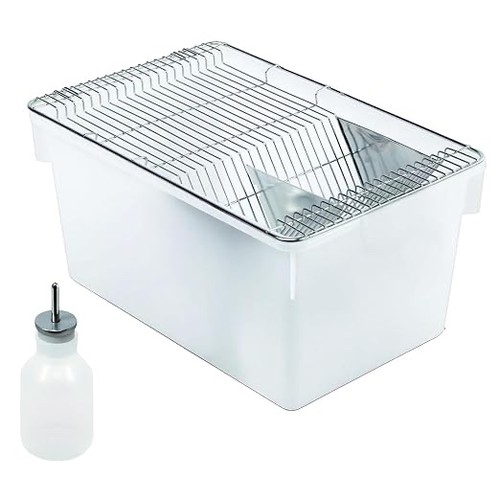 Lab mouse cage rat rodent - rat,