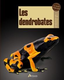 Les dendrobates sihler - les,