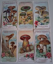 6 CHROMOS CHOCOLAT D'AIGUEBELLE CHAMPIGNONS bons et mauvais