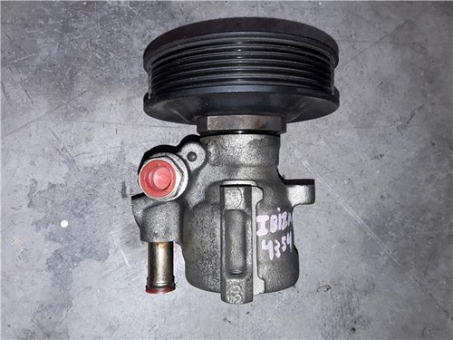 30145157 pompe direction - ,