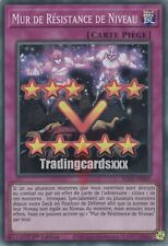 Yu-Gi-Oh! Mur de Résistance de Niveau : SR EGO1-FR005
