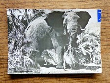 carte postale elephant Afrique avec 7 timbres au verso 1957 vintage collection