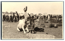 Somalie, Indigènes somaliens