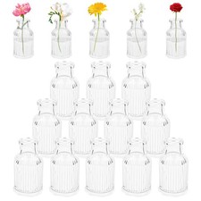Lot de 12 Mini Vases en Verre