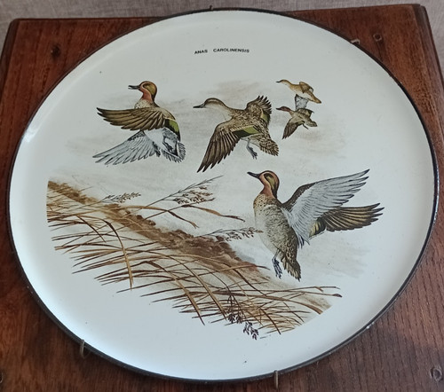 Assiette anas carolinensis - assiette, –