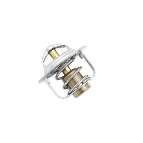 Thermostat pompe eau - thermostat,