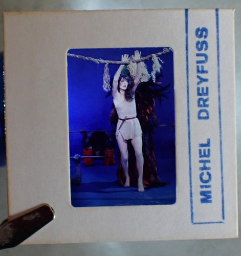 Jane birkin tres rare - birkin,