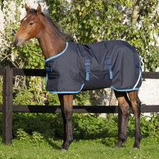 Horseware Amigo Foal Rug Turnout 50g - marine/bleu electrique 