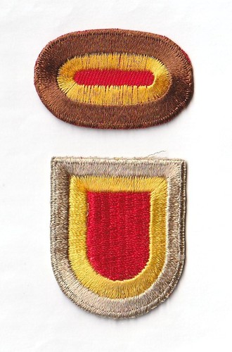 Oval beret flash 101st - /,