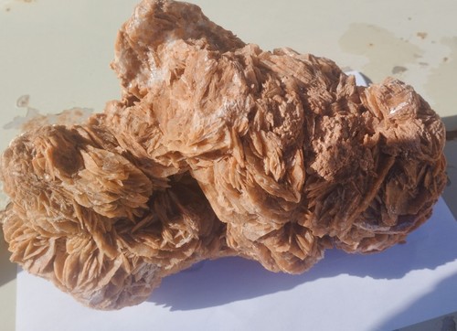 Grande rose des sables - rose,