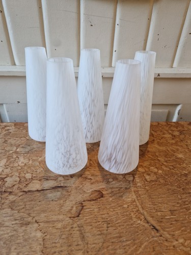 Lot tulipes opaline - lot, 5
