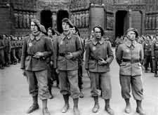 All ww2 Photo LVF Milice
