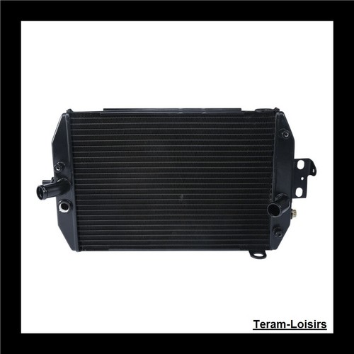 Radiateur pour yamaha xvz - pour, 1300
