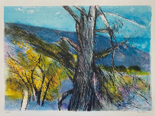 Bardone guy lithographie - bardone,