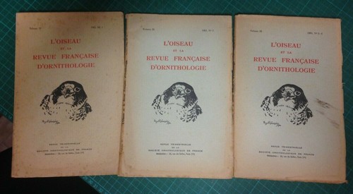 Oiseau et la - , l'oiseau