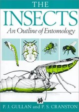Insects : An Outline of