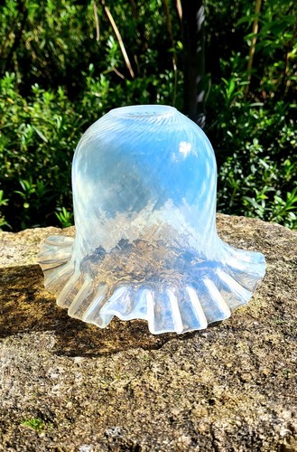 Tulipe opalescente verre - tulipe,