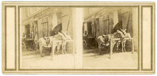 Stéréo, un attelage de trois ânes Vintage stereo card -  Tirage albuminé  8,