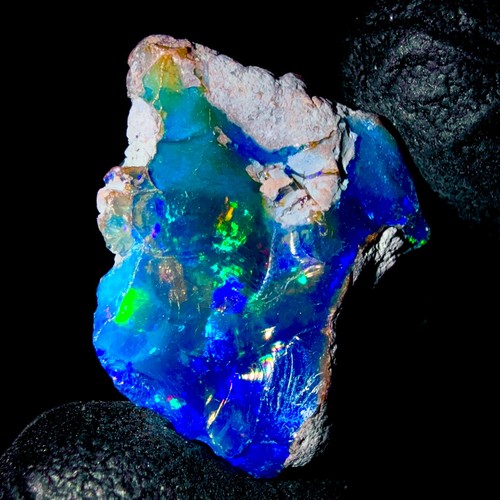 Opal rough noir naturel - rough,