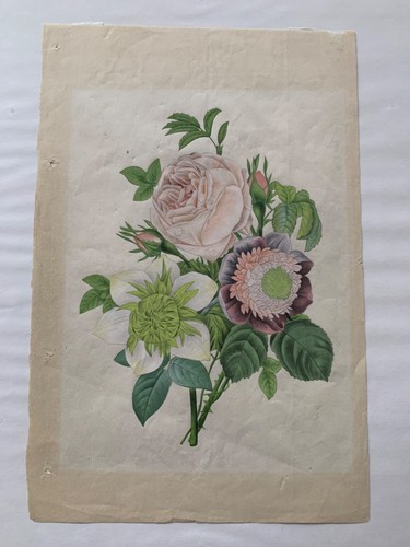 Pierre joseph redouté - joseph,