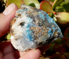Shattuckite + Quartz Congo 5.5x4x3.5cm Minéraux collection pierre lithothérapie