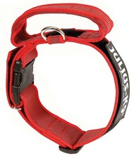Collier Julius K9 Color & Gray