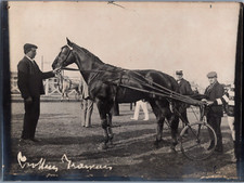 France, Paris, Concours Général Hippique, Trotteur Français, vintage silver prin