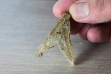 Gypse fer de lance 20 grammes