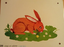 Affiche scolaire double face