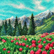 Kit point de croix  RIOLIS