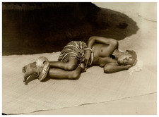 Zoo humain, Exposition