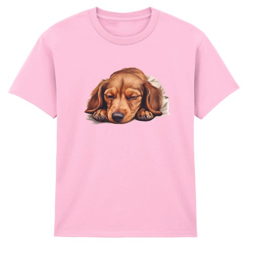 Teckel endormi chiot chiens
