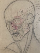 Lot Beau 8 Dessins crayon