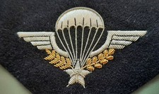 Superbe Brevet Parachutiste