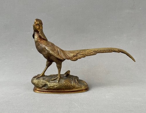 Faisan bronze doré - faisan, doré,