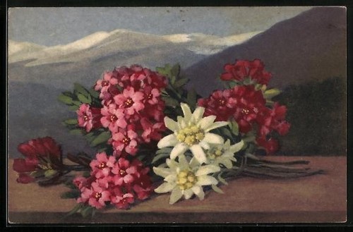 Carte postale artiste - carte,