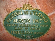 ancienne plaque concours