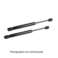 Verins lunette renault - lunette,