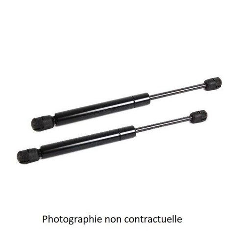 Verins lunette renault - lunette,