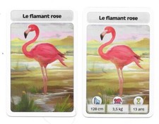 Carte McDonald - Le flamant rose