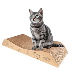 Creative Pets Griffoir pour