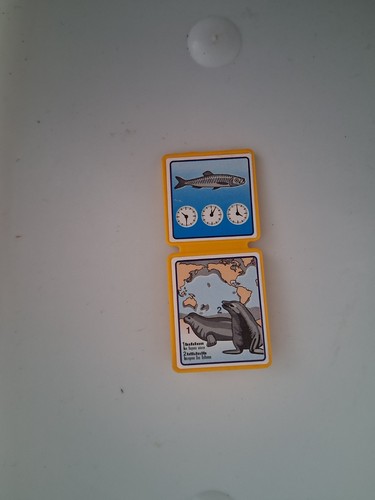 Playmobil panneau bassin - panneau,