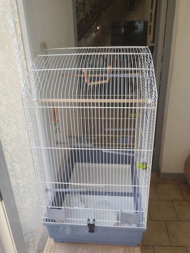 Cage oiseaux fer - a,