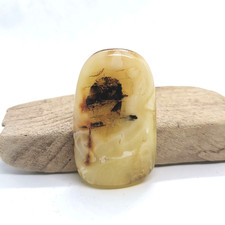 Cabochon blanc de la Baltique ambre poli fossile de pierre précieuse...
